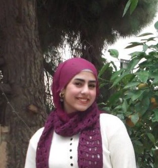 alaa almasri
